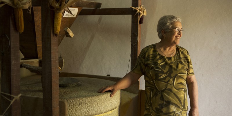Mesa Sem Pão é Rosa Sem Cheiro